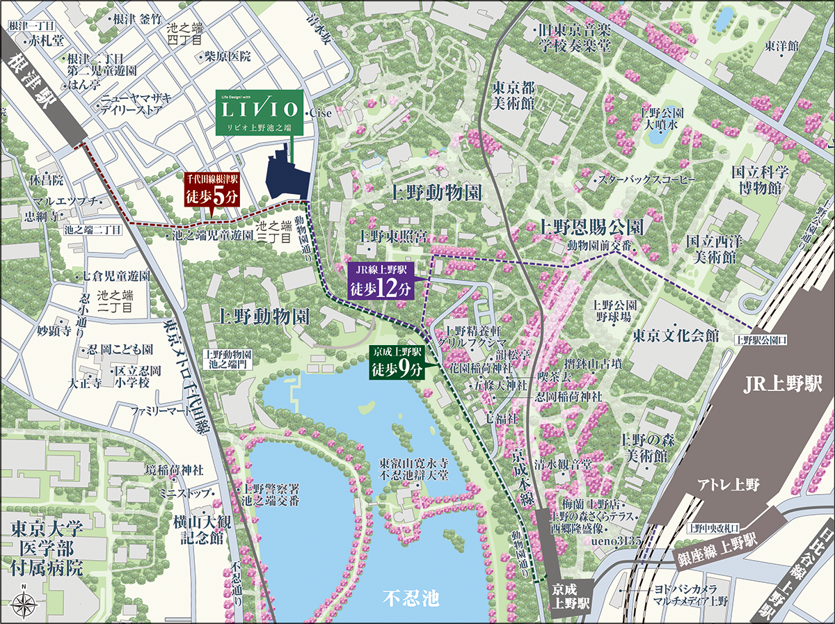 現地案内図