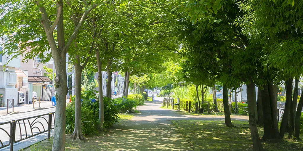 曳舟川親水公園／徒歩7分（約550m）