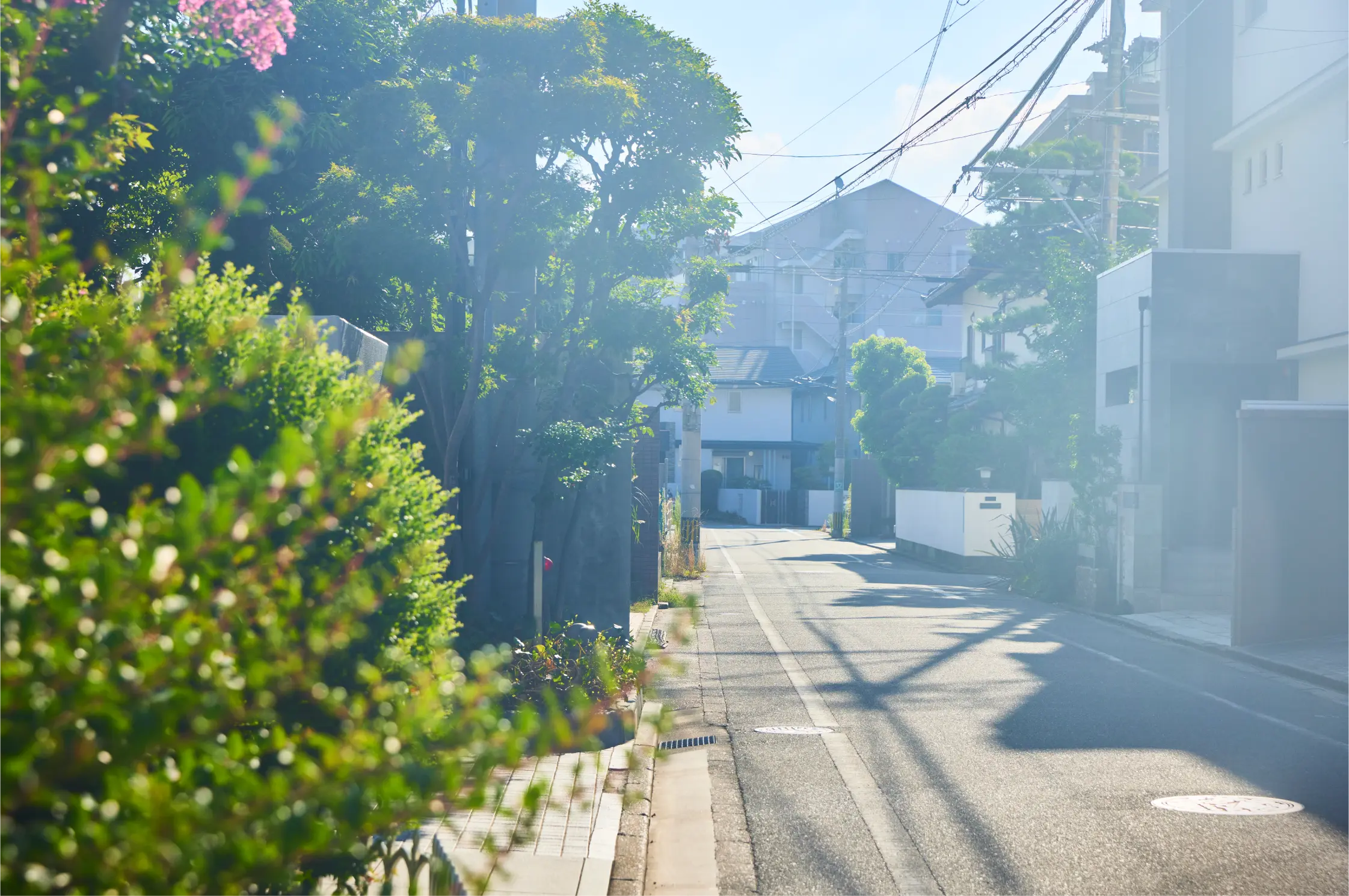 現地から約60mの街並み