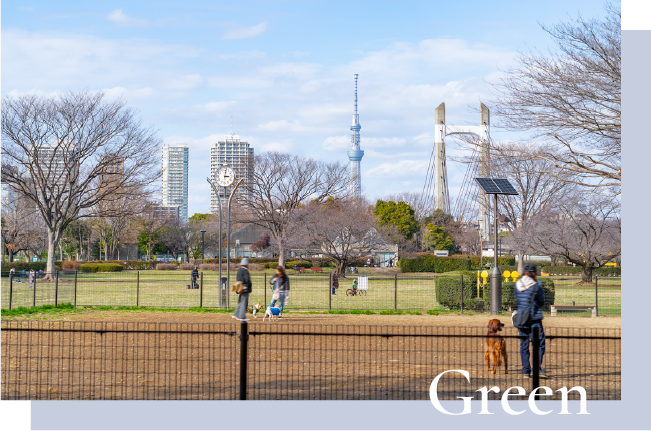 木場公園