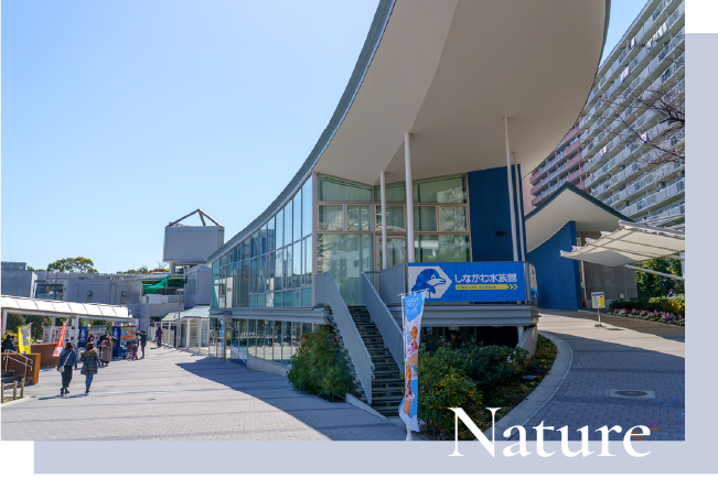 しながわ水族館