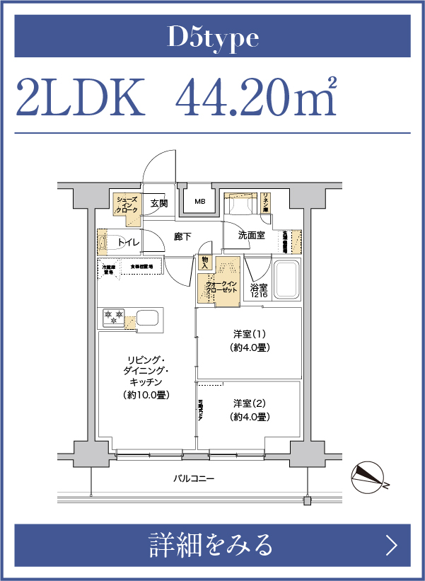 D5タイプ