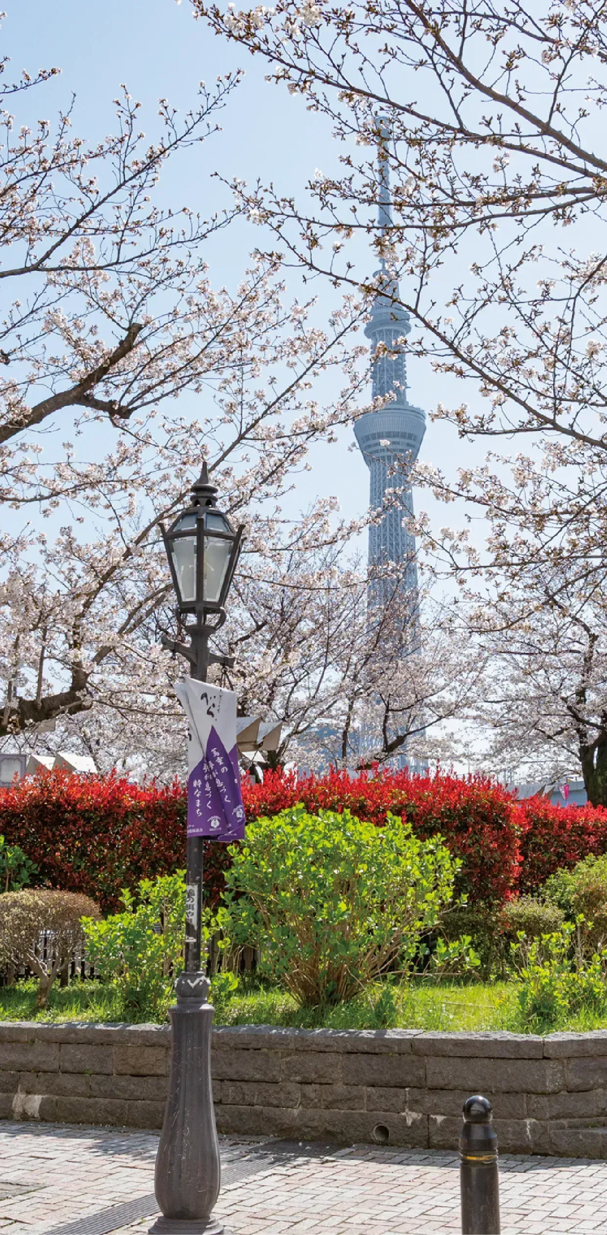 隅田公園