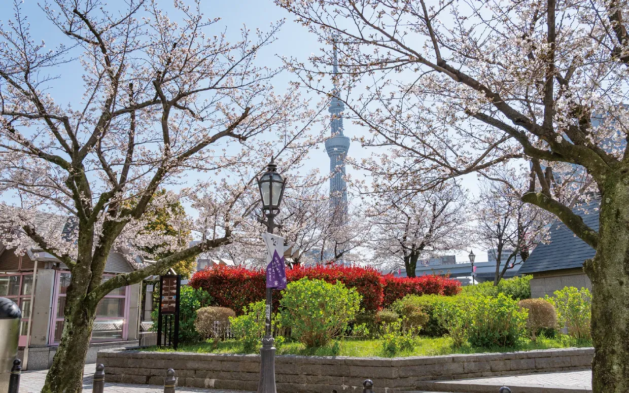 隅田公園