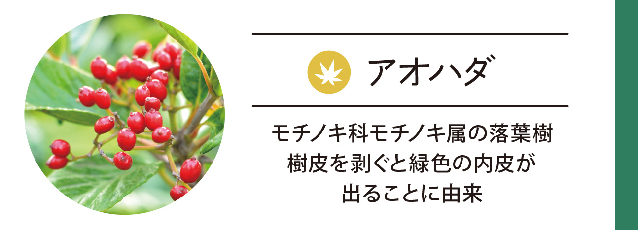 アオハダ