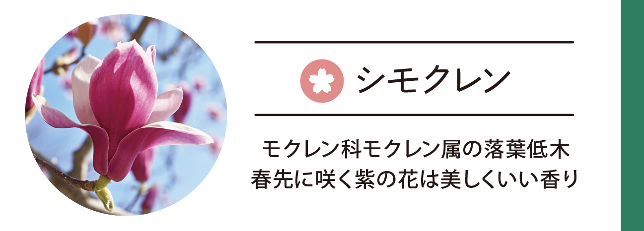 シモクレン
