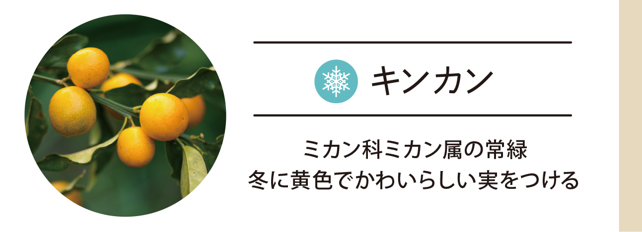 キンカン