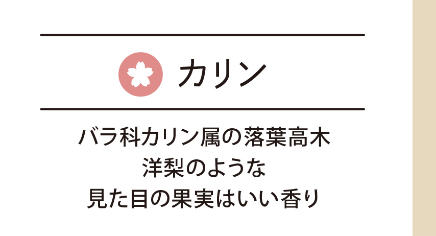カリン