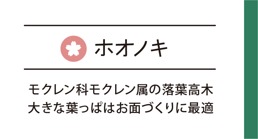 ホオノキ