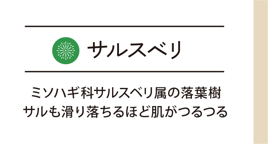 サルスベリ