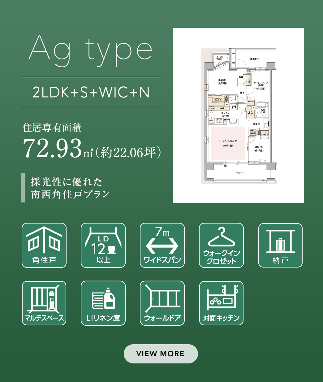 Ag type