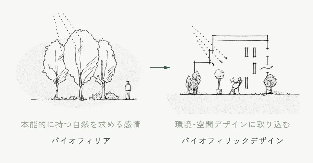 バイオフィリックデザイン