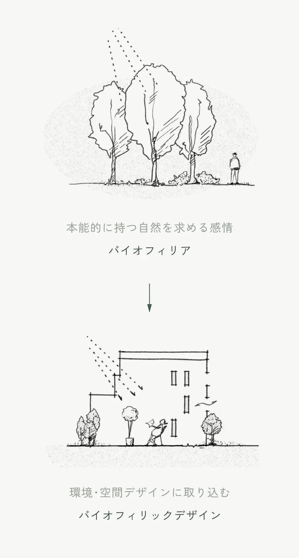 バイオフィリックデザイン