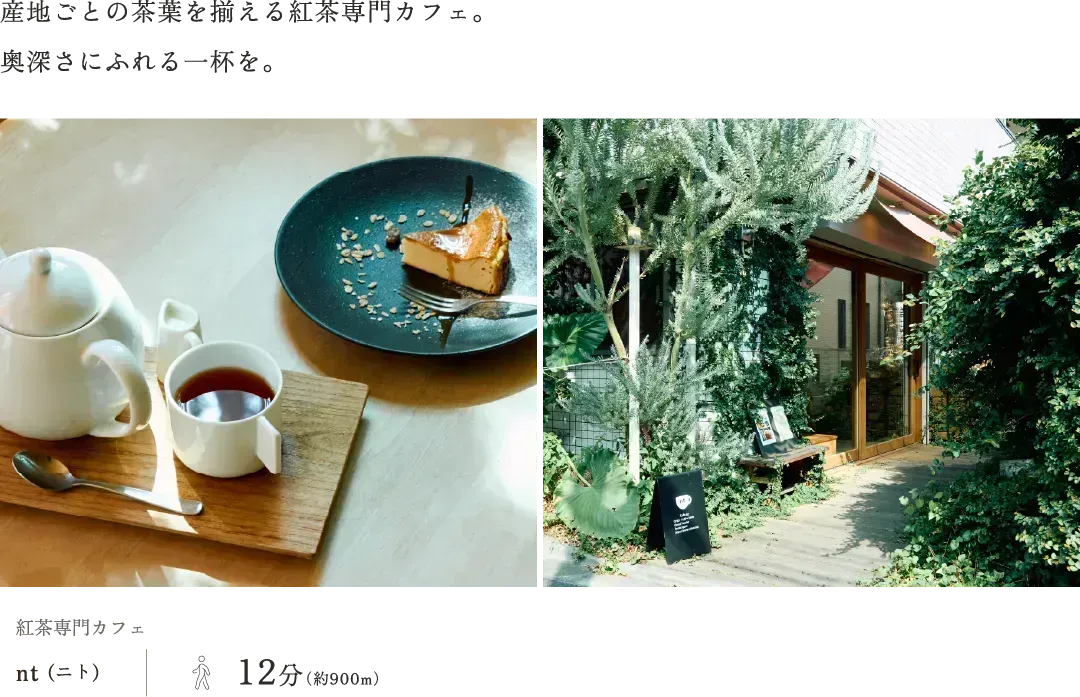 紅茶専門カフェnt (ニト)