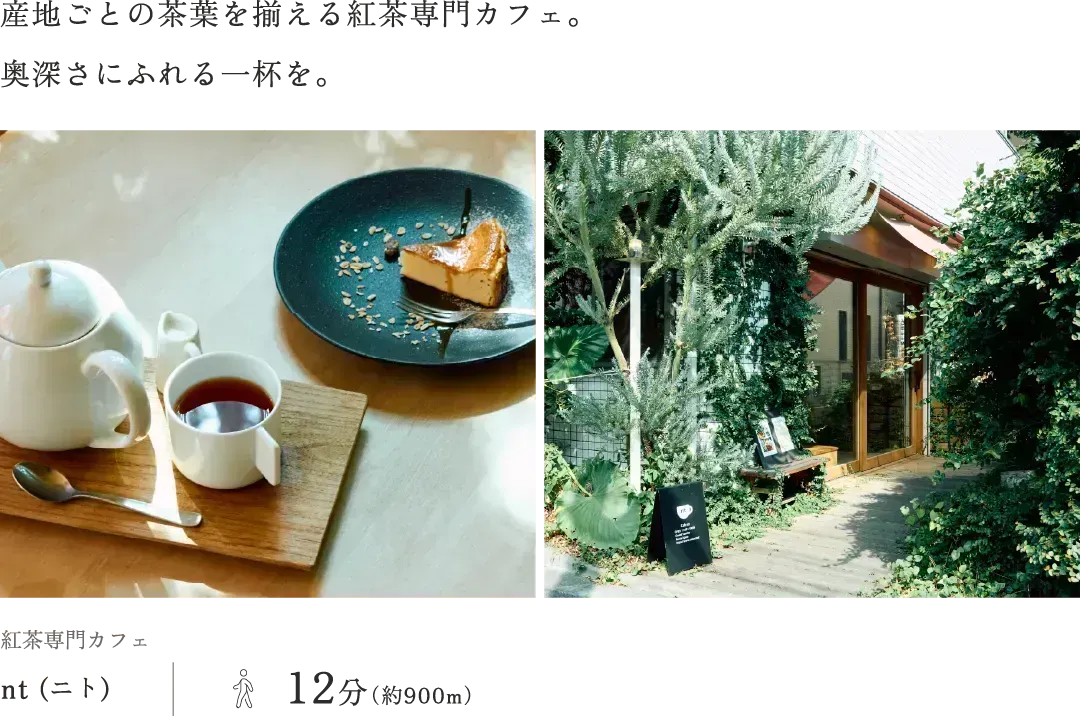 紅茶専門カフェnt (ニト)