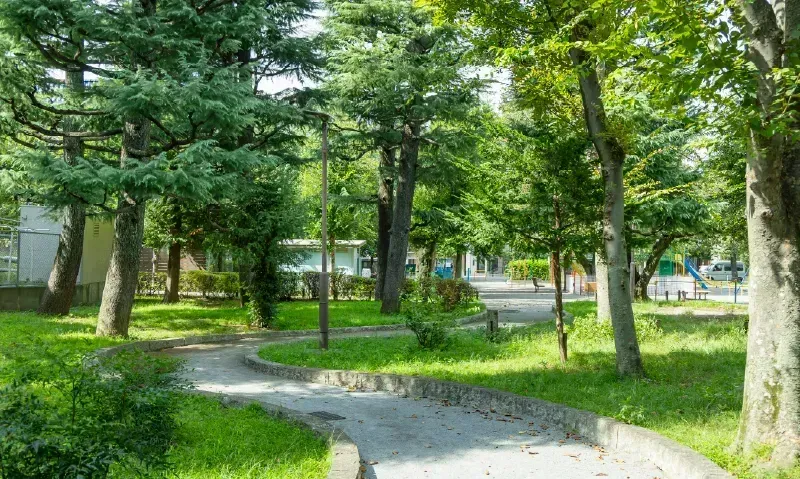 世田谷区立小泉公園　約360m/徒歩5分