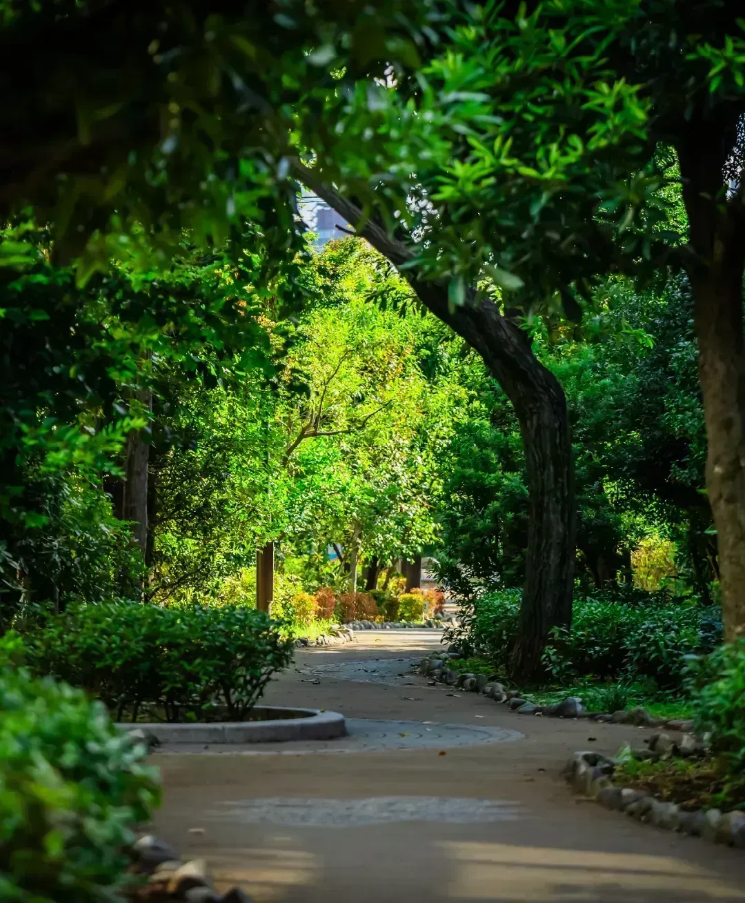 蛇崩川緑道（約320m/徒歩4分）