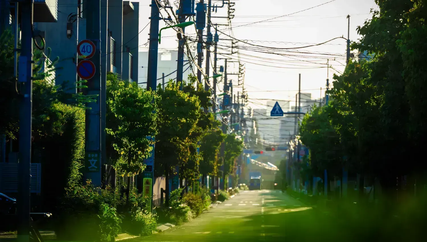 現地周辺の街並み（約220m/徒歩3分）