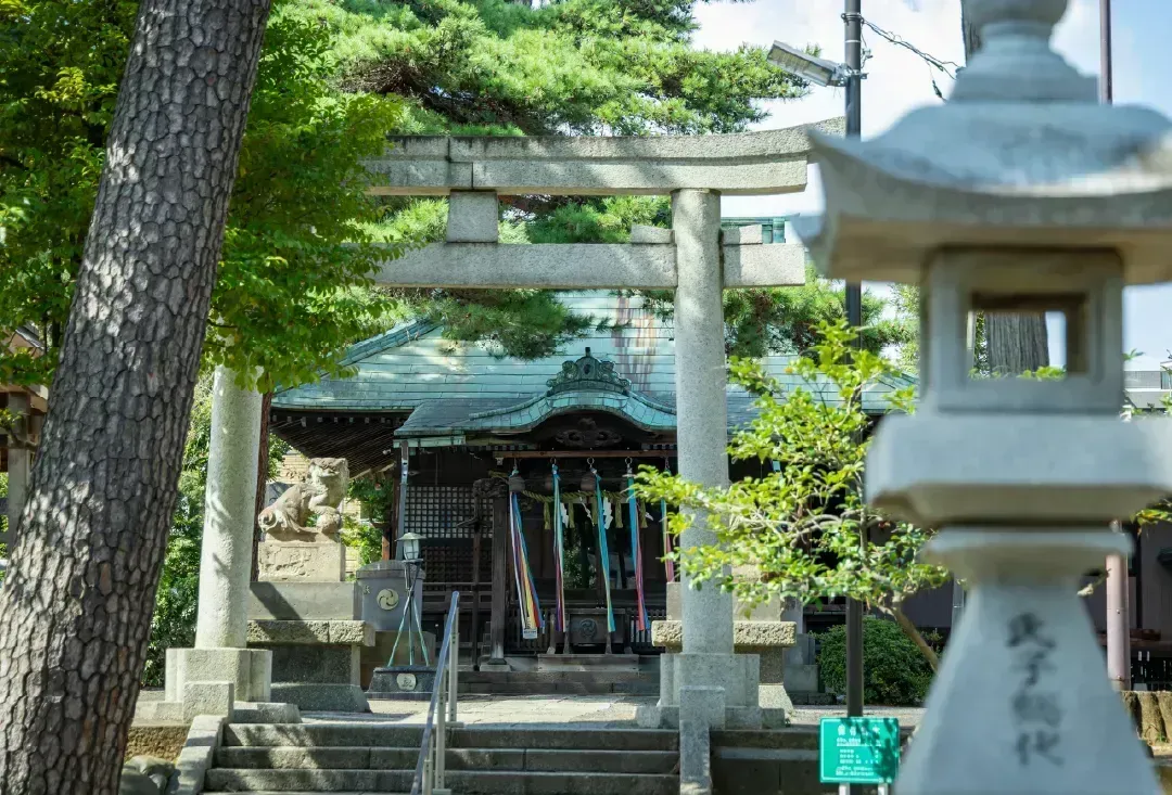 駒留八幡神社（約440m/徒歩6分）