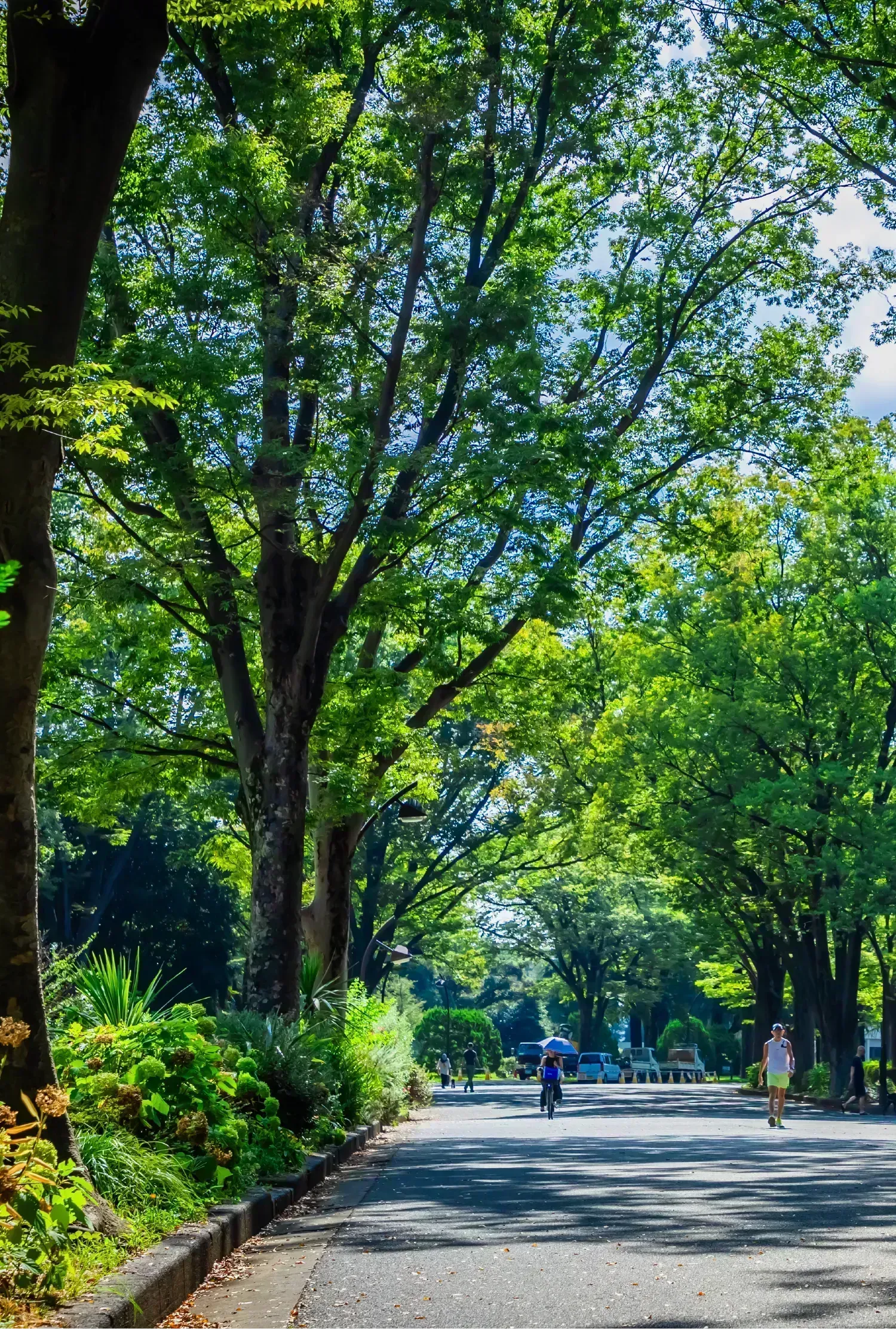 駒沢オリンピック公園（約1,630m/徒歩21分）