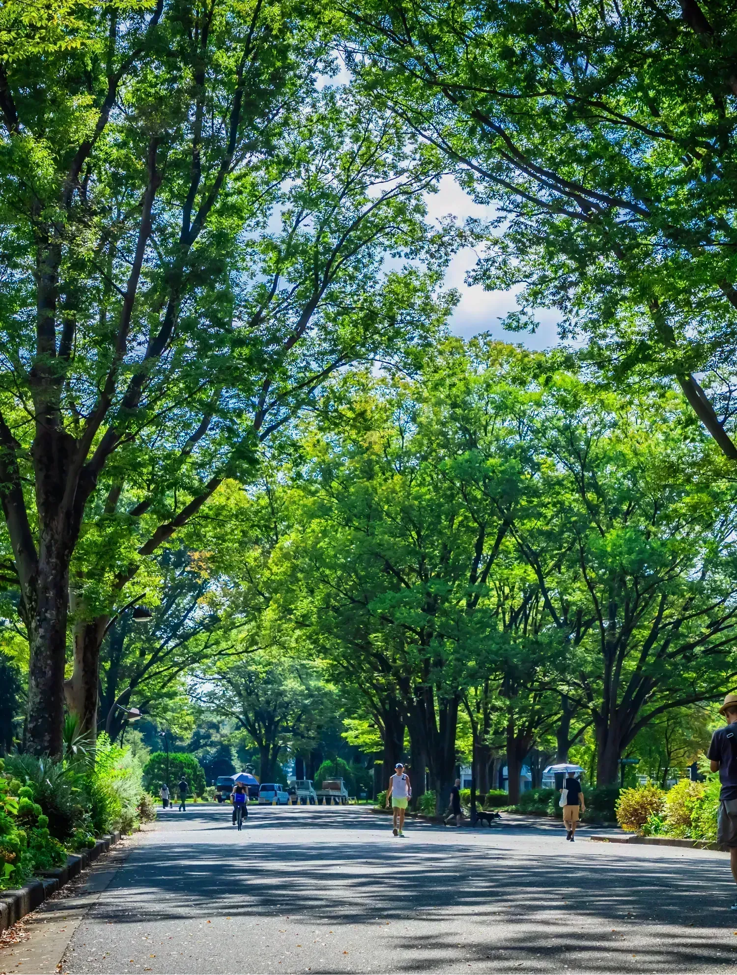 駒沢オリンピック公園（約1,630m/徒歩21分）