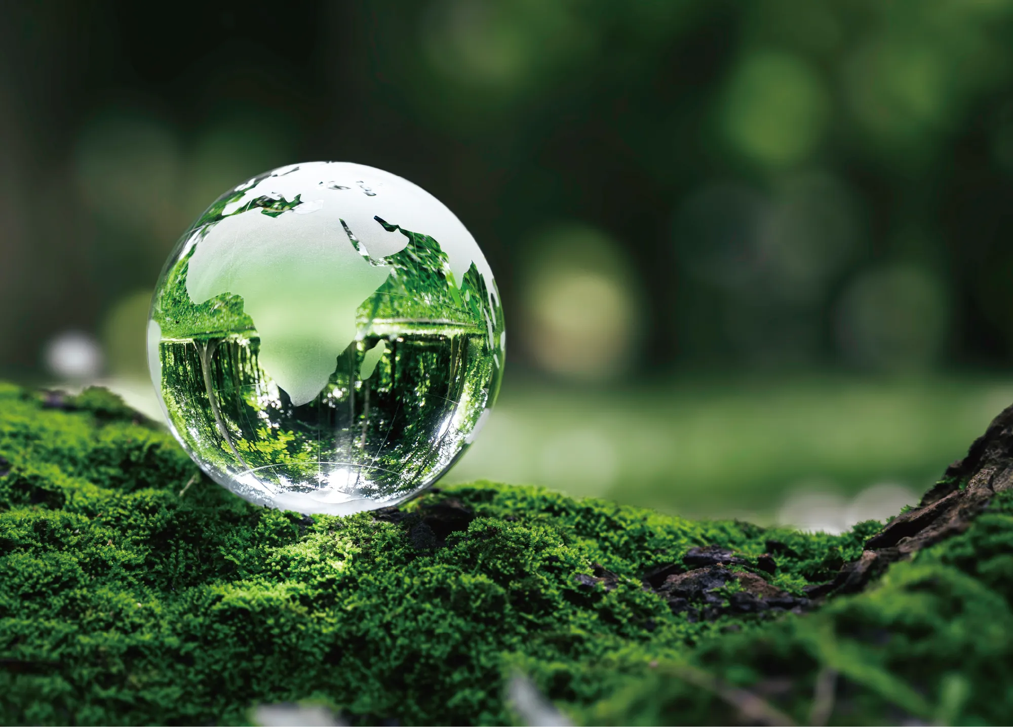 認定低炭素住宅