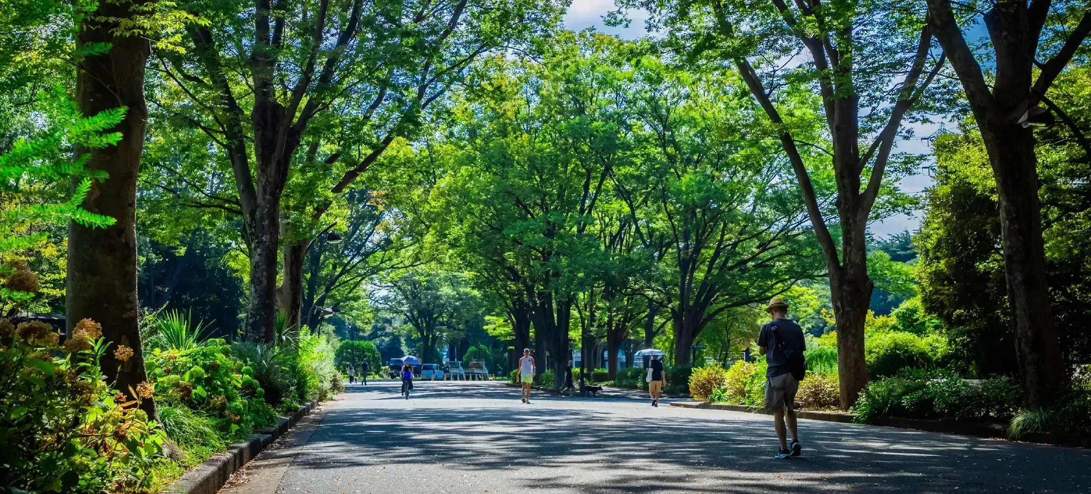 駒沢オリンピック公園（約1,630m/徒歩21分）