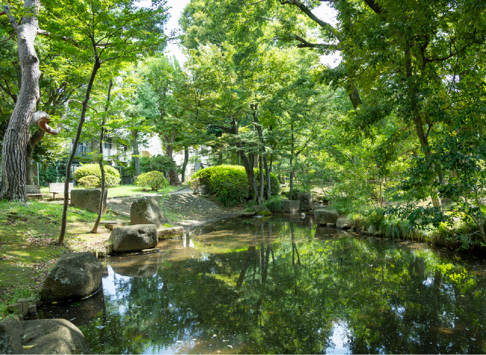 駒沢緑泉公園（約1,200m/自転車5分）