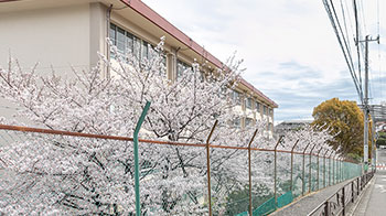 川崎市立宮前平小学校（徒歩1分／約70m）