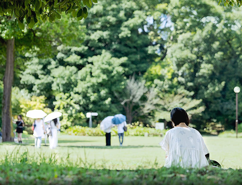 公園