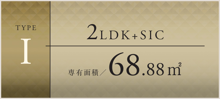 TYPE I