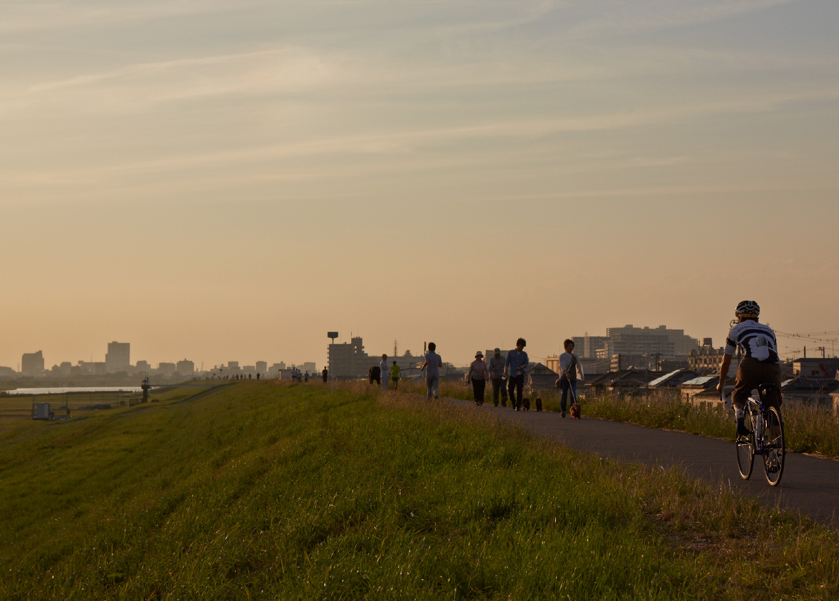 江戸川河川敷 徒歩10分（約800m）