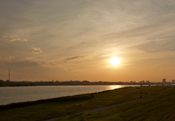 江戸川河川敷 徒歩10分（約800m）