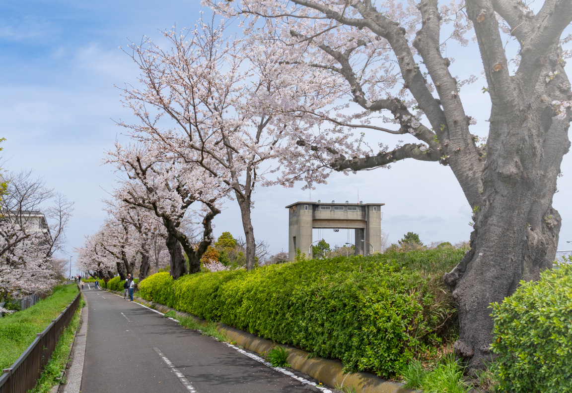 江戸川閘門 徒歩12分（約910m）
