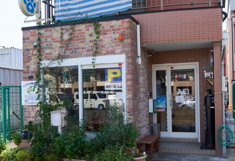 しのざき動物病院 徒歩17分（約1,290m）