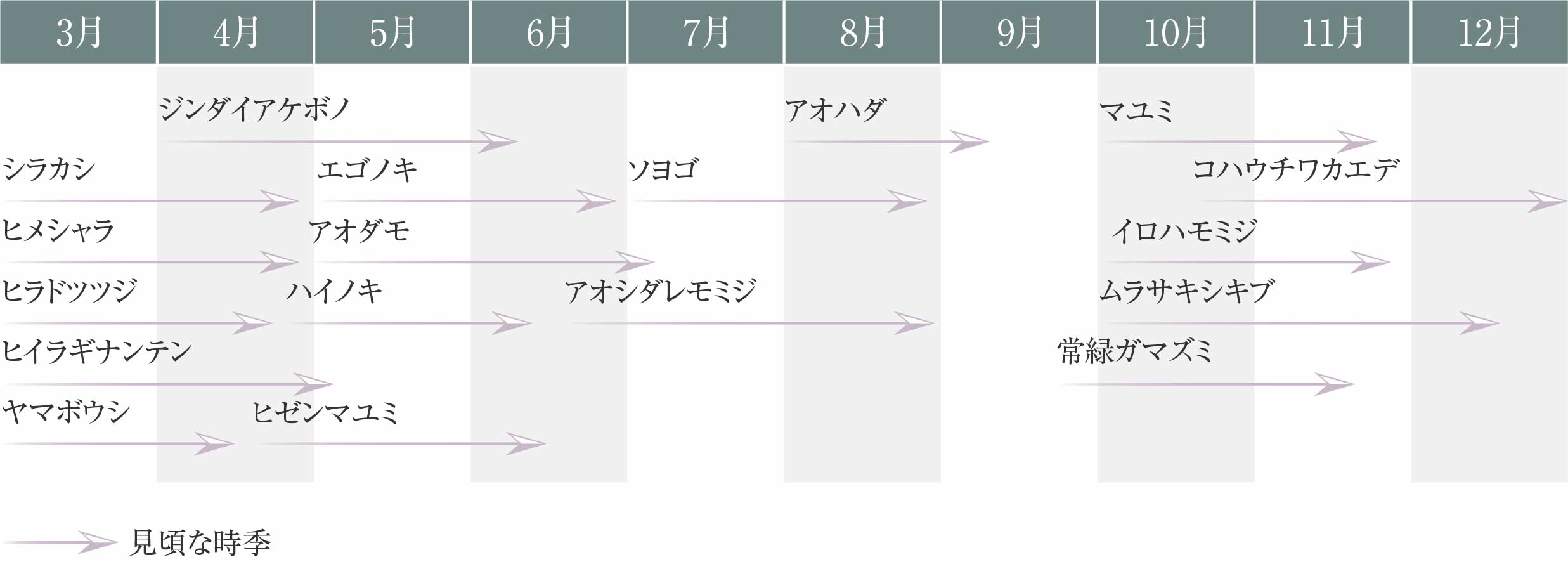 開花時期
