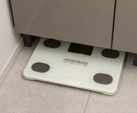 ヘルスメーター収納