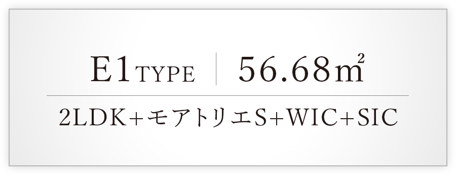 typeE1