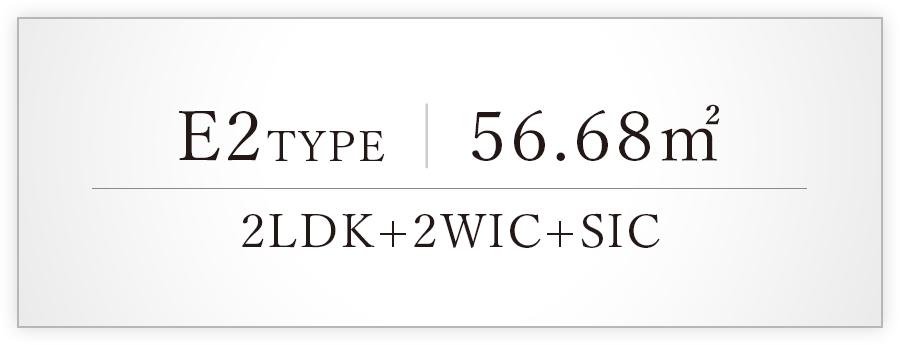 typeE1