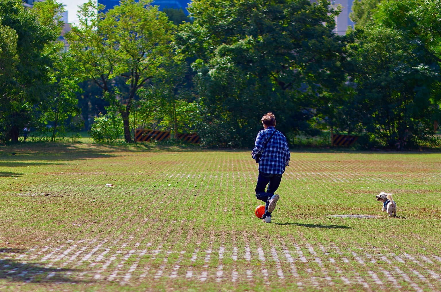 大阪城公園